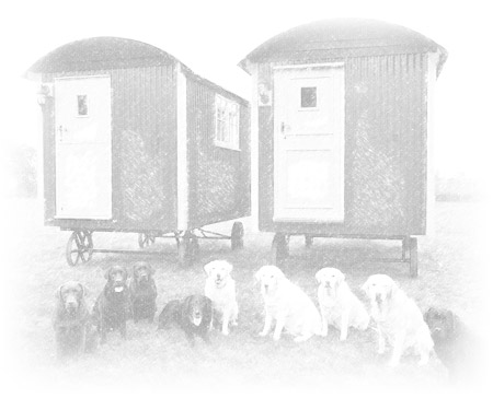 Shepherd hut sketch