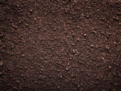 Top Soil