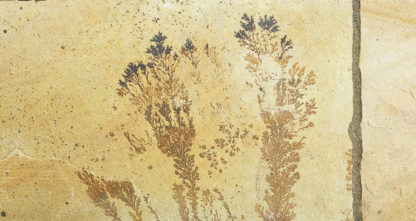 Natural Sandstone - Image 8