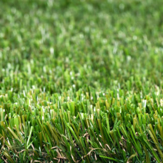 Grass